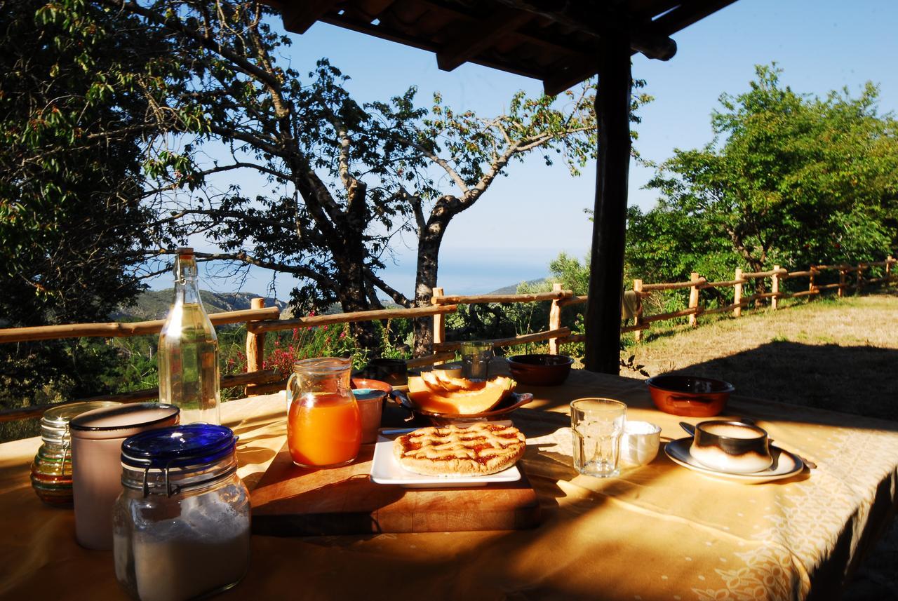 Masseria Cata Catascia Bed and Breakfast Tortorella Εξωτερικό φωτογραφία