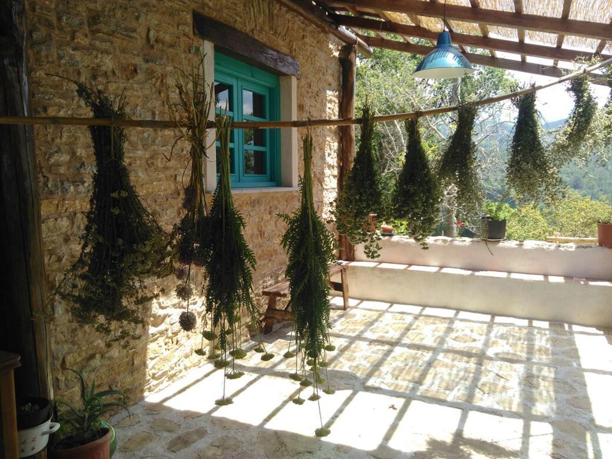 Masseria Cata Catascia Bed and Breakfast Tortorella Εξωτερικό φωτογραφία