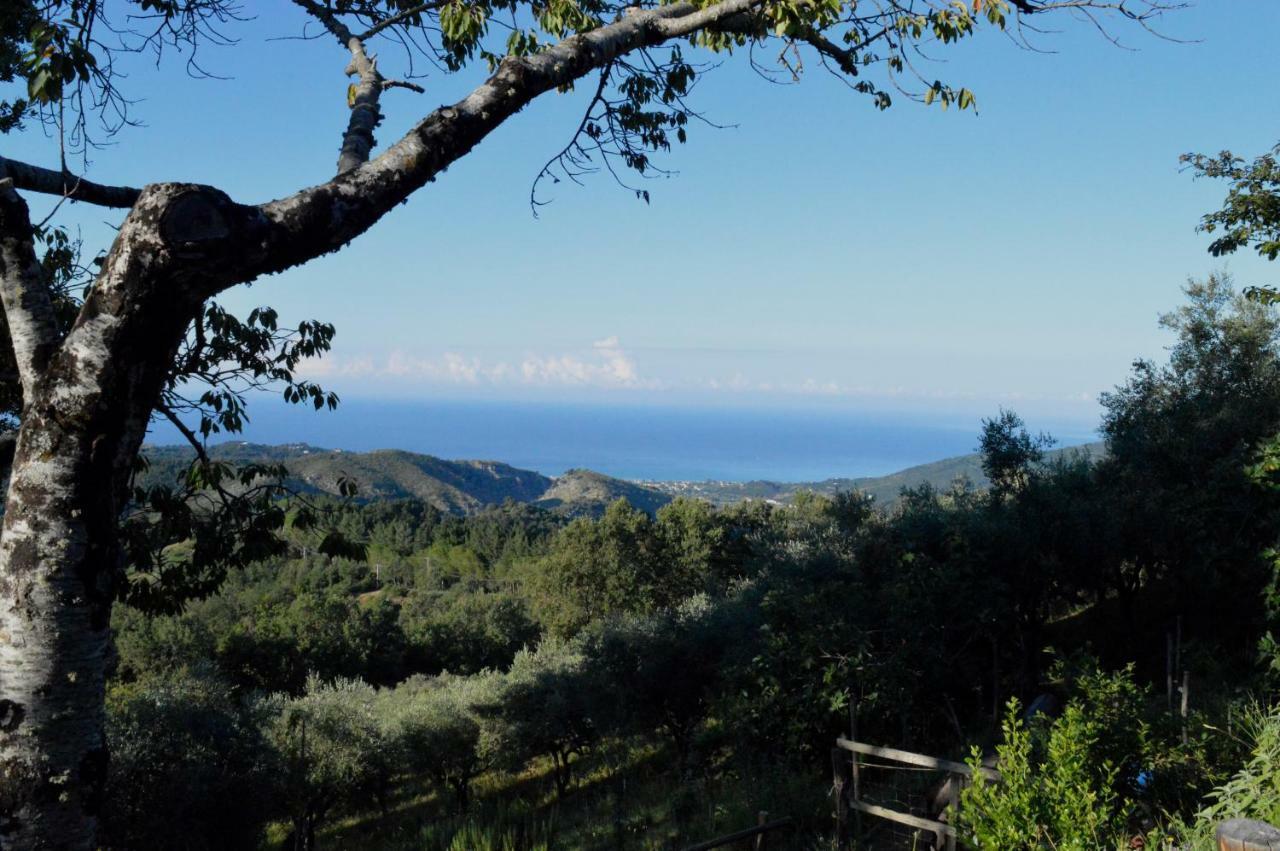 Masseria Cata Catascia Bed and Breakfast Tortorella Εξωτερικό φωτογραφία